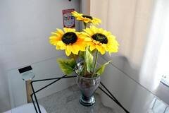 Apartamento Tamarielys 2